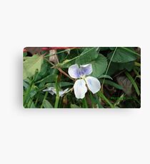MARY JANE Canvas Print