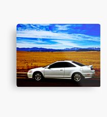 3265 Metal Print