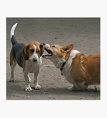 Guess what I heard? Photographic Print