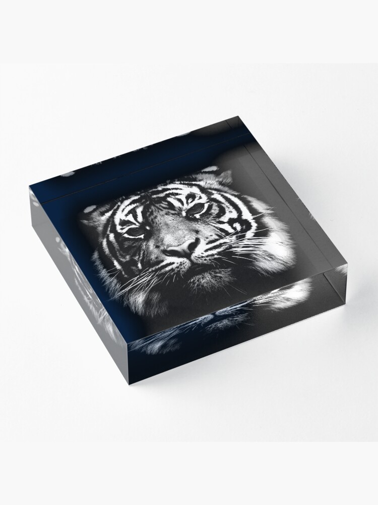 Alternate view of Illustrated Tiger Acrylic Block