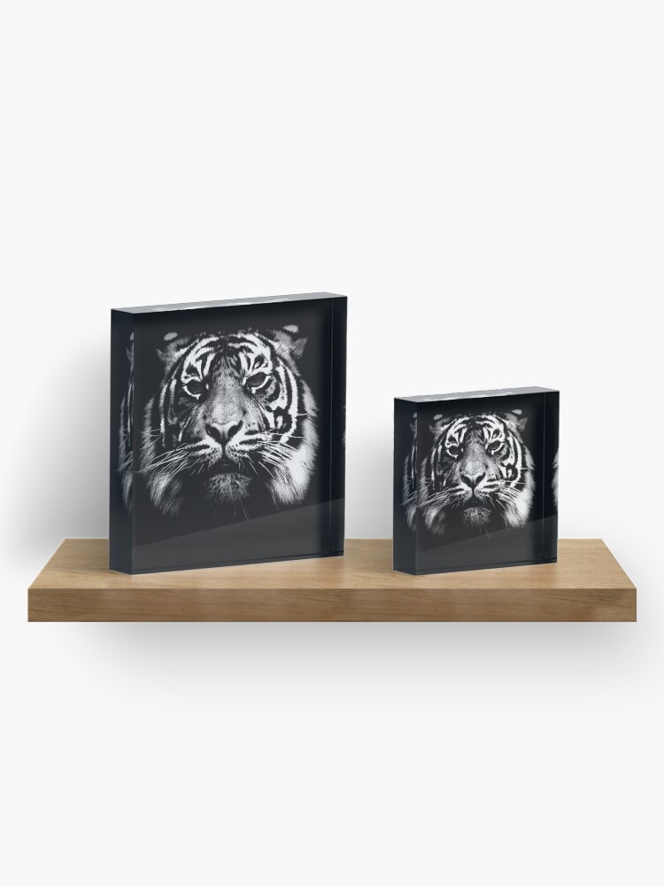 Alternate view of Illustrated Tiger Acrylic Block