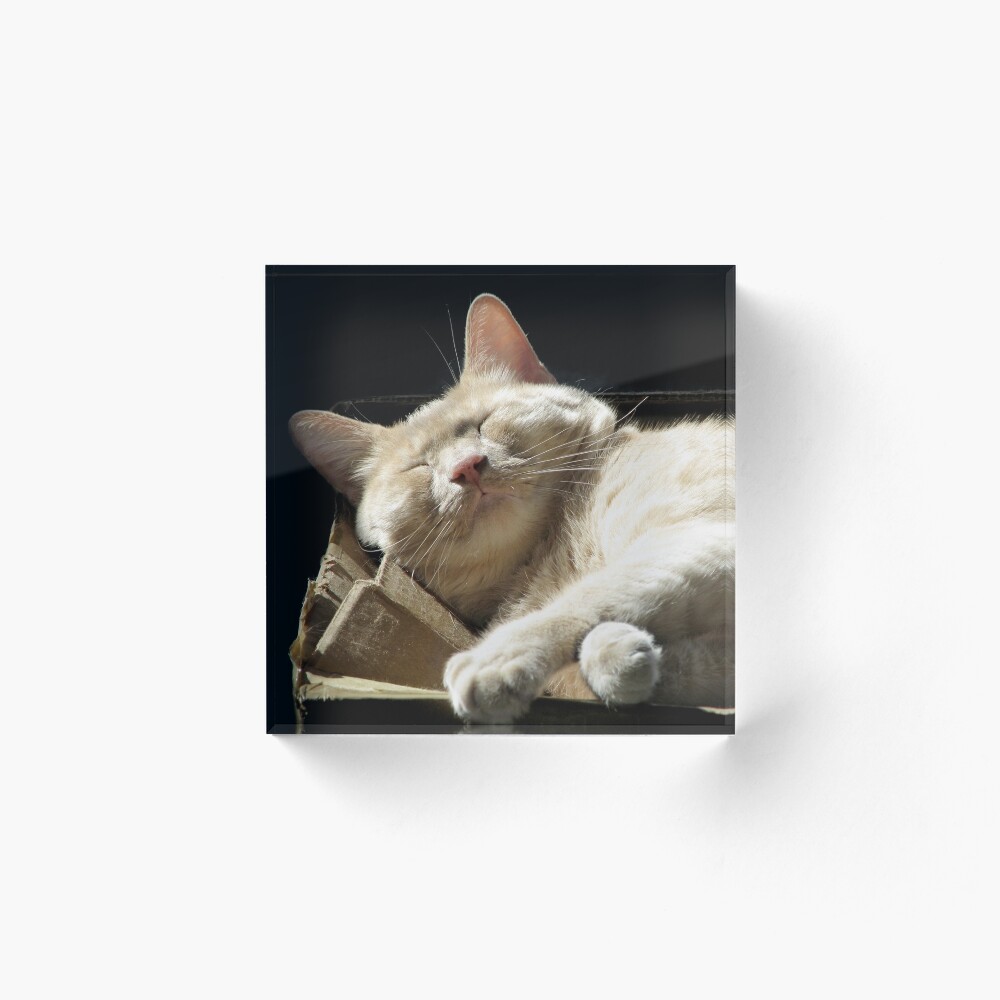 Funny Face Acrylic Block