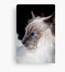 Lost in thought Canvas Print