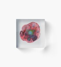 Zelle Acrylblock