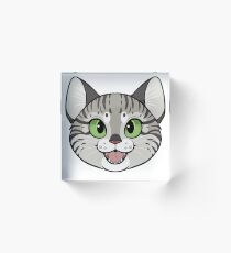 Bloque acrílico British Shorthair