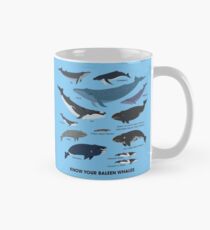 Know Your Baleen Whales Mug