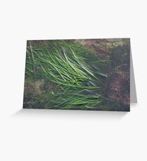 EAL GRASS Greeting Card