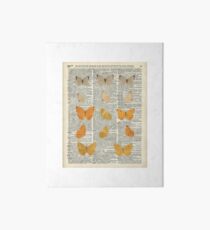 Lámina rígida Yellow butterflies over encyclopedia book page,Monarch Butterfly Dictionary Art