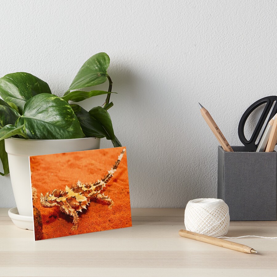 Thorny Devil (Moloch horridus) Art Board Print