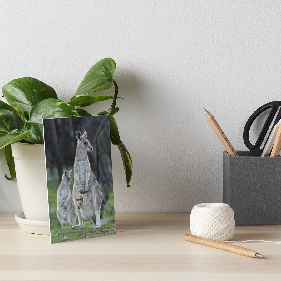 A comfy ride Art Board Print