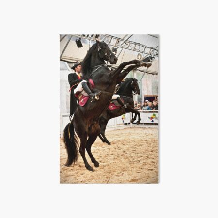 Menorcan dressage - Spanish step Art Board Print