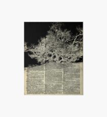Lámina rígida White And Bloack Lonley Tree Dictionary Art