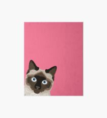 Lámina rígida Mirando a escondidas el gato siamés - meme divertido del gato para los amantes del gato, regalos de las señoras del gato para la gente del gato