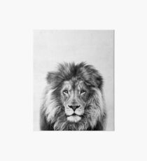 Lion Art Board Print