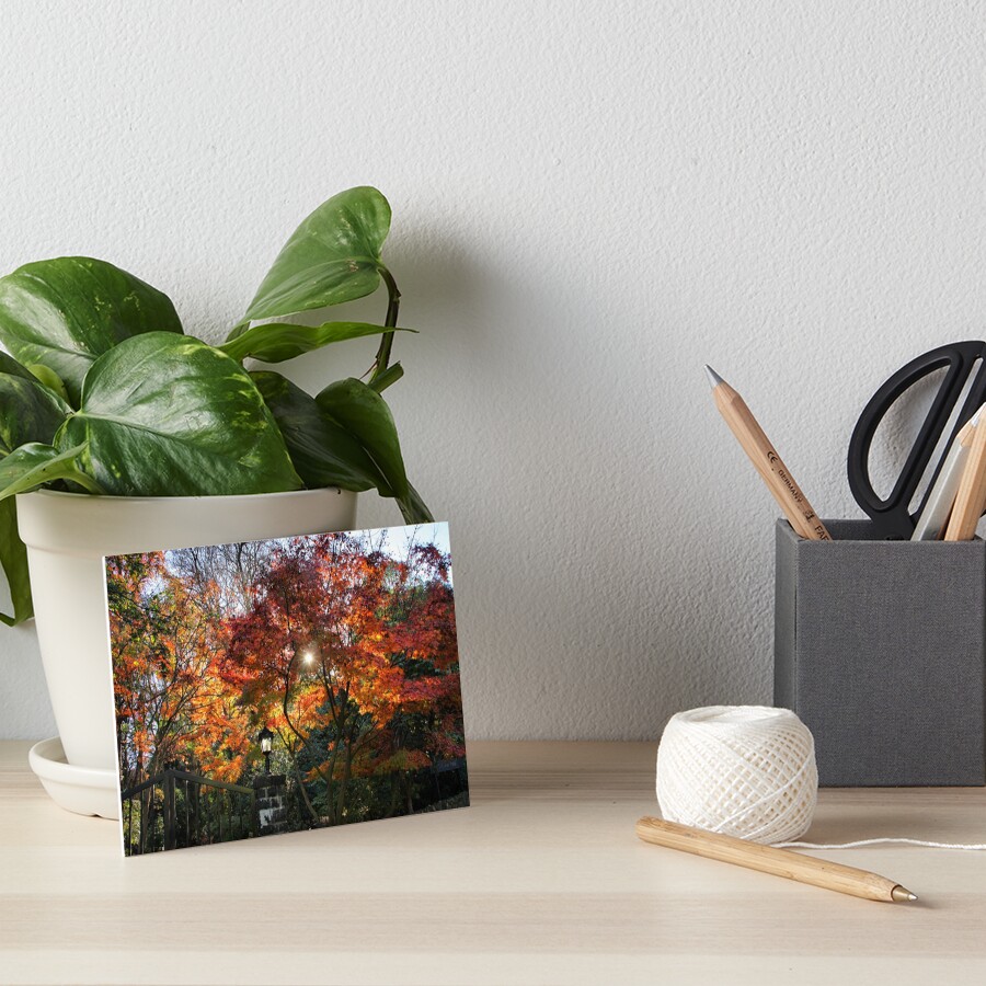 Autumn sun Art Board Print