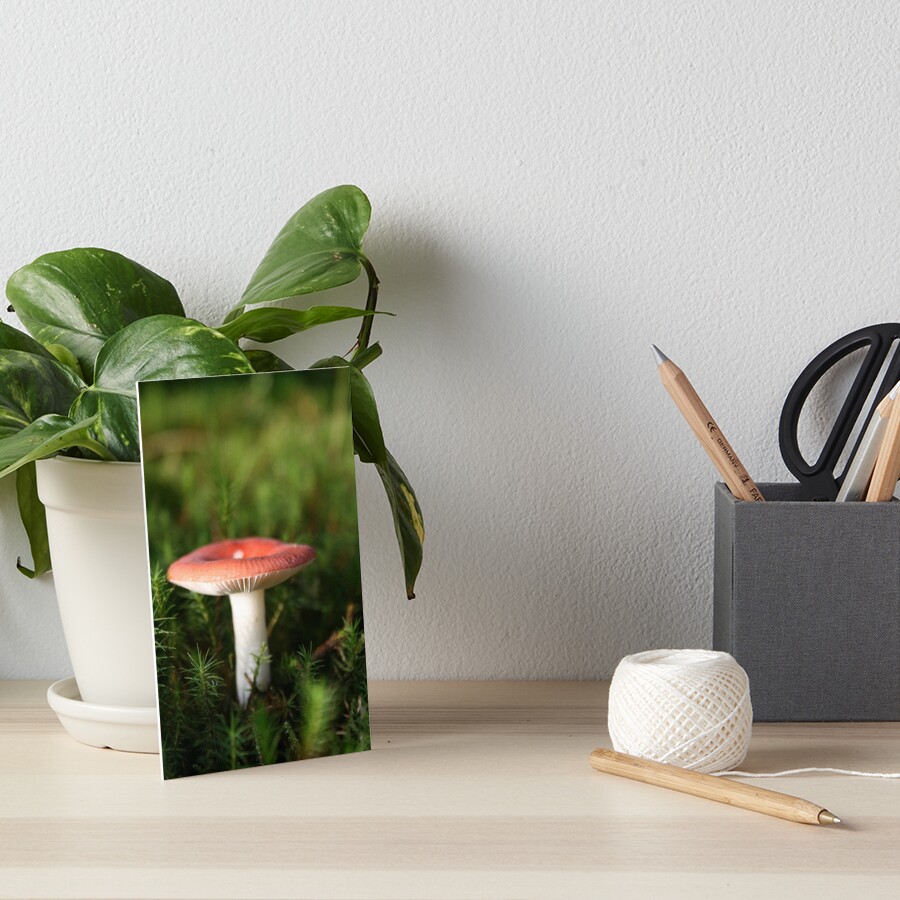 Toadstool Art Board Print