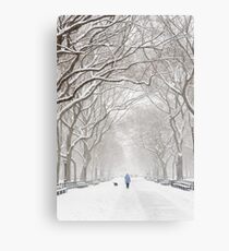 Winter in Central Park Canvas Print