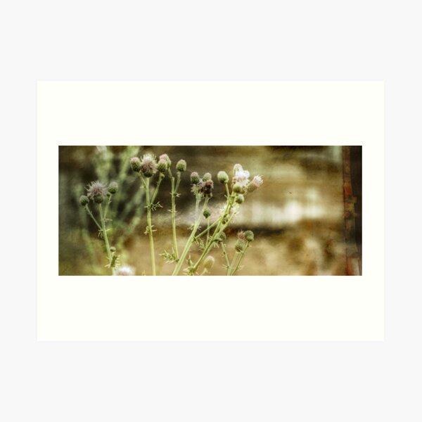 Blooming Melancholy Art Print