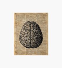 Lámina rígida Vintage Human Anatomy Brain Illustration Dictionary Book Art Art