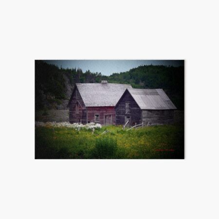 THE BARNS Art Board Print