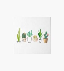 Lámina rígida POTTED CACTI