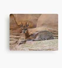 Prongs Metal Print