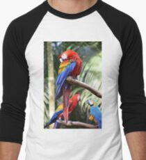 Araras Men's Baseball ¾ T-Shirt