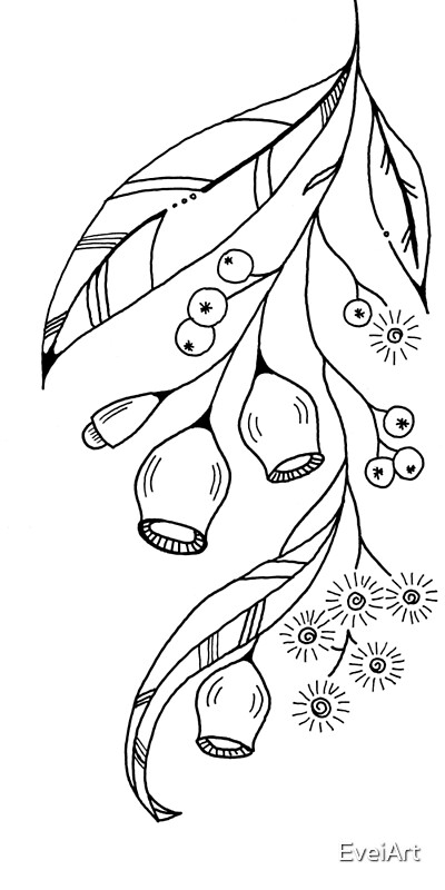 Download "Gum nuts - gum tree drawing" by EveiArt | Redbubble