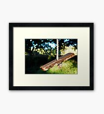 Vintage Rope Swing Framed Print