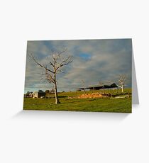 Rowsely Valley Farm Greeting Card