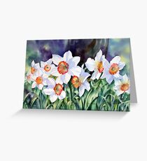 Narcissi Greeting Card