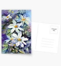 May Morning Clematis Postcards