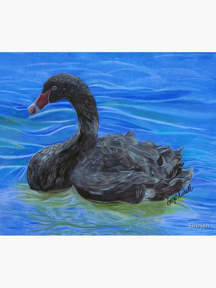 Another Resident of Lake Wendouree by Brinjen