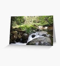 Washpool National Park, northern NSW Australia Greeting Card