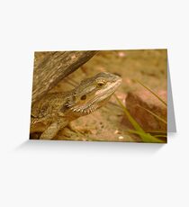 Bearded Dragon Greeting Card