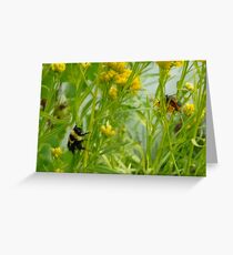 Bumble Bee Watching Bug Love Greeting Card