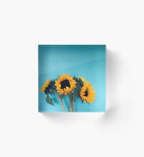 Sunflowers Acrylic Block