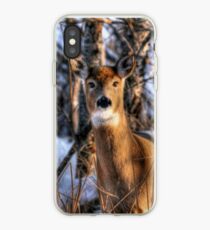 Curiosity!!! iPhone Case