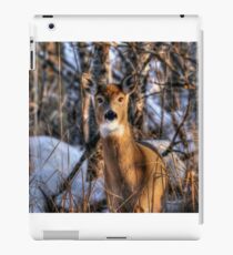 Curiosity!!! iPad Case/Skin