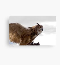 Taking Flight Canvas Print