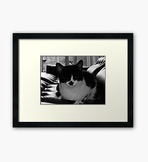 Milly chilling 70s style Framed Print