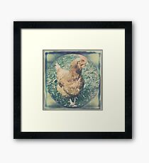 pet Framed Print