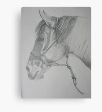 Cajun Canvas Print