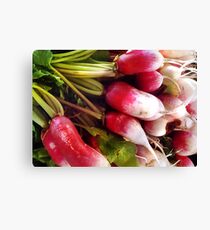 Radishes Canvas Print
