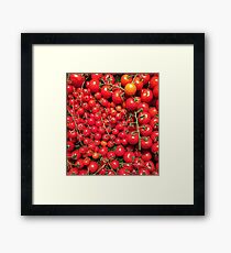 Tomatoes Framed Print