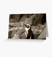 Penguin Greeting Card