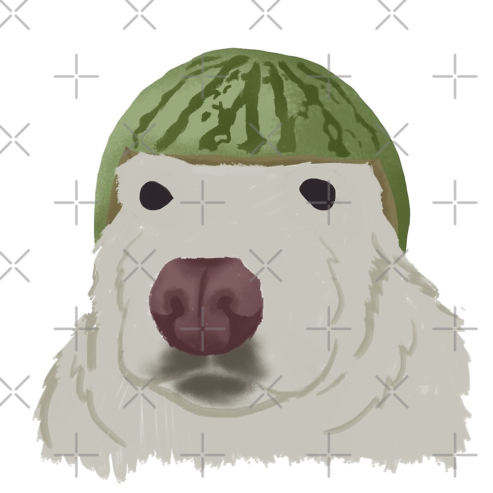 Watermelon Helmet Dog Meme