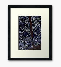 Blue Framed Print