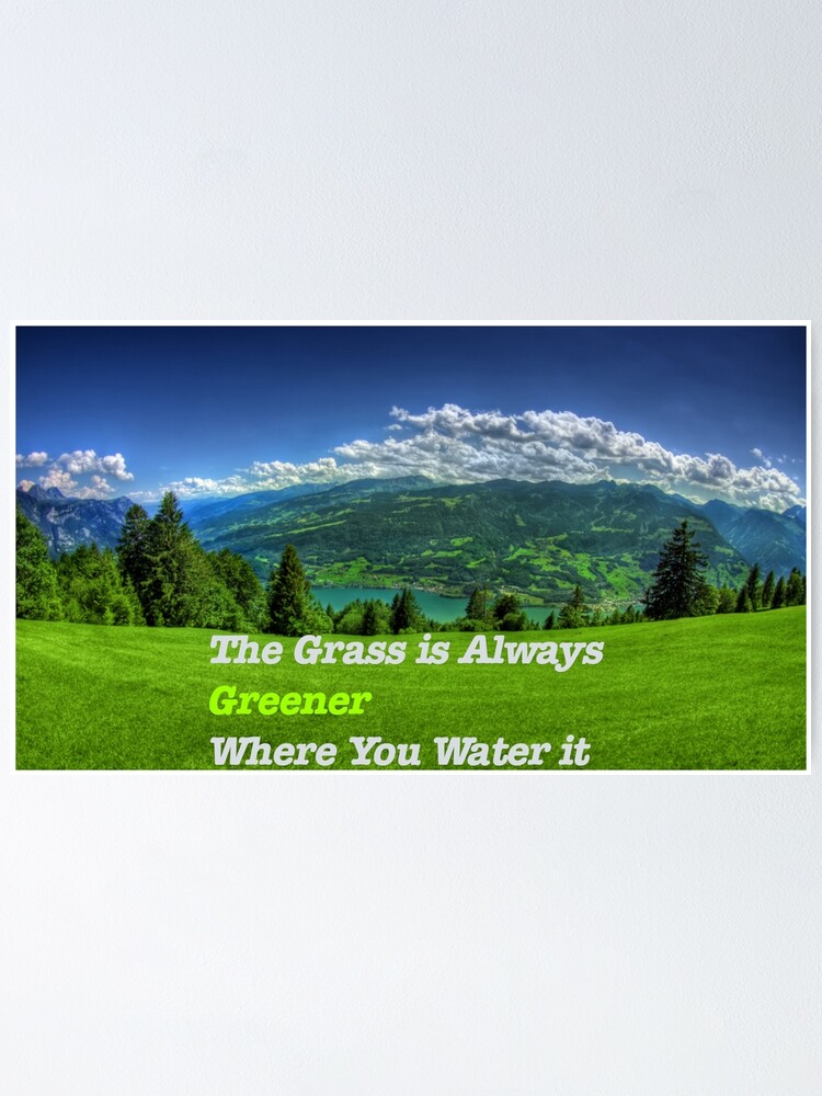 The Grass Is Always Greener Where You Water It Inspirational