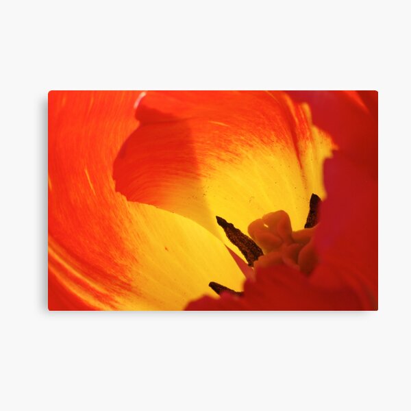 inside the fire's heart Canvas Print